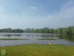 -四里河滨水生态公园