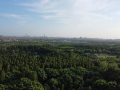 -上海滨江森林公园