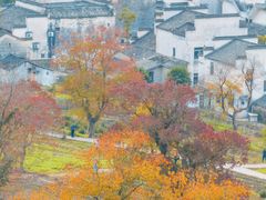 -塔川景区