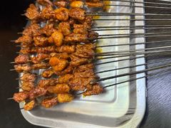 -尕胡才炕锅烤羊肉馆(八一路店)