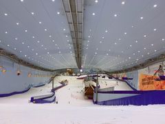 -哈尔滨热雪奇迹