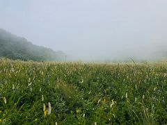 -白草畔自然风景区