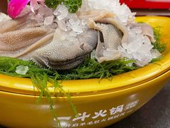 -一斗火锅·招财羊毛肚(北温泉九号店)