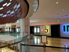-金逸影城(武汉人信汇IMAX店)