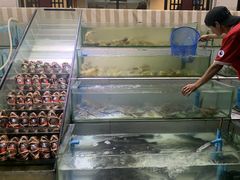 -光海鲜鱼翅餐厅(叻差拉披色路店)