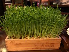 -捞神煲汤火锅(湖滨商业街店)