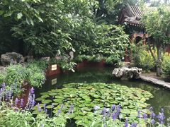 -宣武艺园