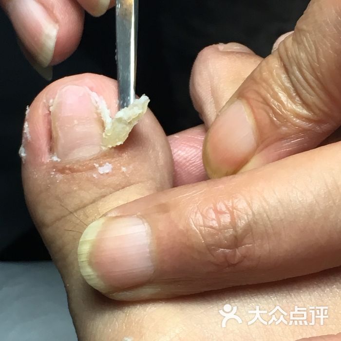 扬州扦脚的全部评价-上海-大众点评网