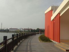 -上海长兴岛郊野公园