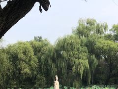 -北陵公园