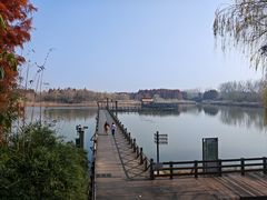 -溱湖国家湿地公园