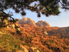 -崂山仰口游览区
