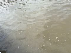 -大京沙滩