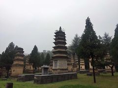 -嵩山少林文化旅游景区