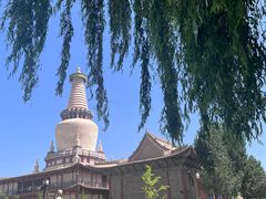 -张掖大佛寺景区