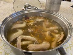 药膳乳鸽-百利鸽王(紫薇路店)