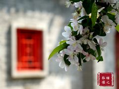 -海棠花溪(元大都城垣遗址公园)