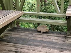 -苍山感通索道