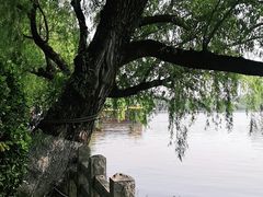 -济南大明湖景区