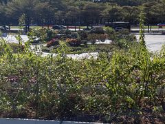 -深圳国际园林花卉博览园