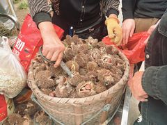 -楠溪江风景名胜区