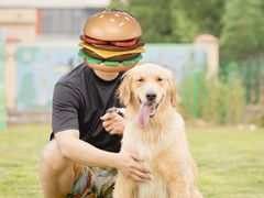 -趣玩宠物乐园寄养训犬训狗游泳池