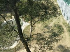 -泉州海丝野生动物世界