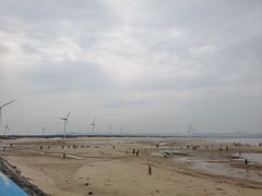 -长江澳风力发电景观区