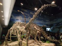 -自贡恐龙博物馆