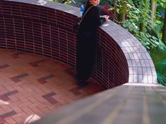 -香港大学