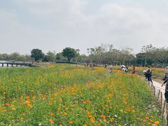 -海珠湖公园