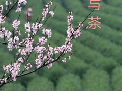 -杭州灵山景区
