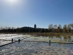 -永定河休闲森林公园