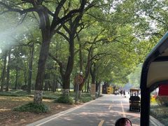 -采石矶景区