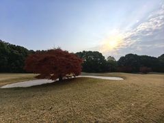 -旭宝高尔夫俱乐部