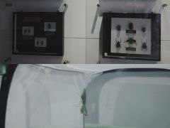 -上海昆虫博物馆