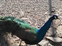 -南京金牛湖风景区