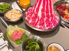 霞浦超鲜海带苗-怂火锅厂(海口国贸店)