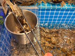 -焰江山海鲜牛排烤肉自助(锦华万达二星店)