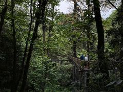 -龙苍沟森林公园