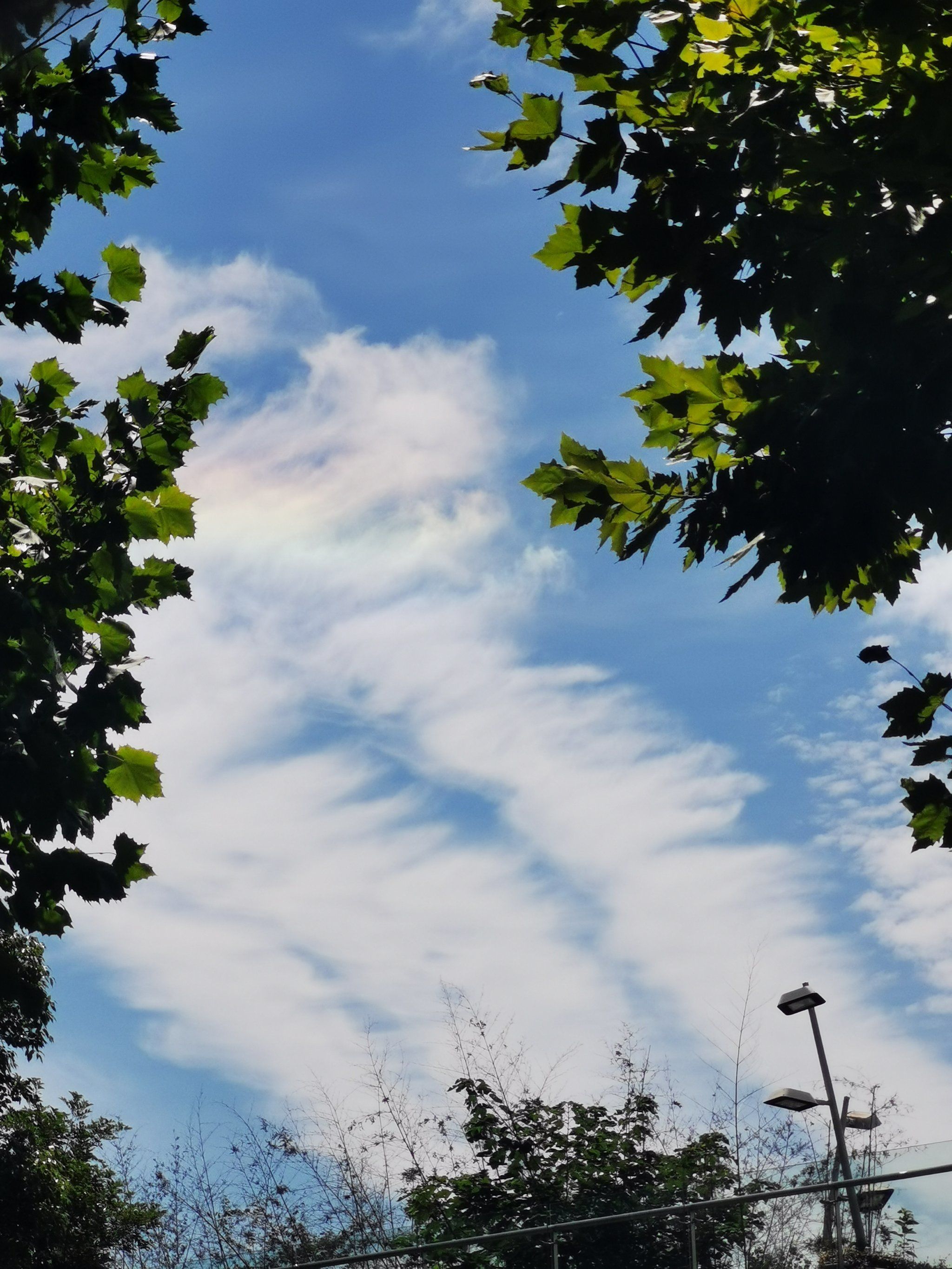 今日小暑,竟然见到云姑娘送来的一朵彩云,真是幸运!