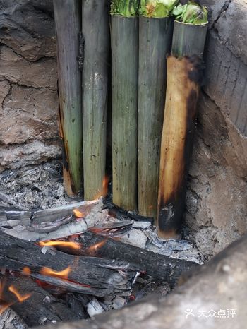 树袋熊的家，环境和孩子们玩耍的好去处