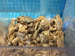 -曼格活海鲜·牛排自助(光明蓝鲸店)