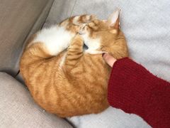 -厦门良筑精品酒店(厦门中山路店)