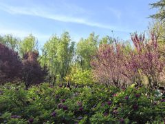 -洛阳市隋唐城遗址植物园