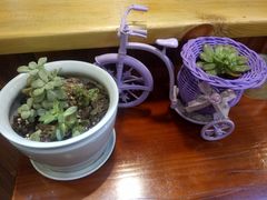 -螺大蛳柳州螺蛳粉·火锅·热干面(西城永捷店)