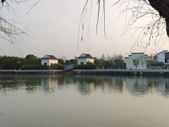 -八大山人梅湖景区