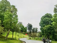 -东岳体育公园