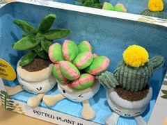-山姆会员商店(邻瑞广场店)