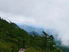 -朱雀国家森林公园